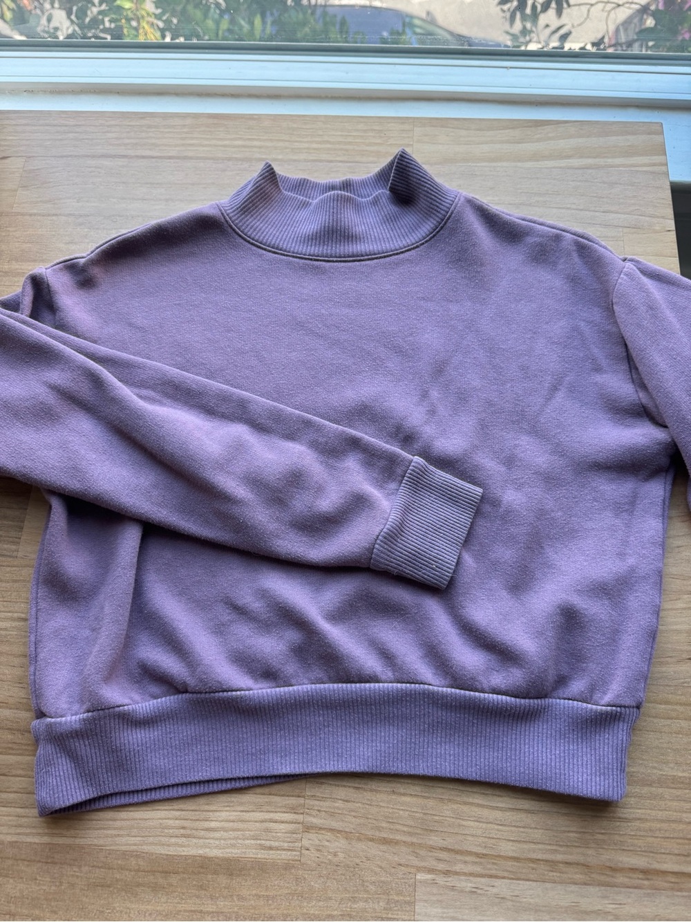 Purple Mock Neck Cropped Sweatshirt Lightweight Cozy Comfy Lounge Wear Petite